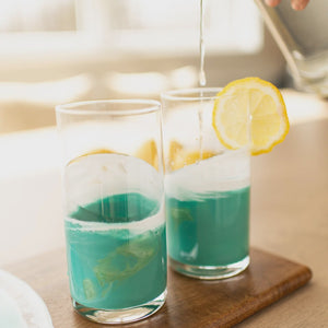 Lynn & Liana Designs Resin Accented Highball Glasses