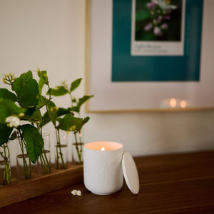 Small plants in glass vials on a wooden stand with a lit candle next to them on a wooden surface.