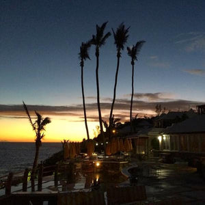 Men's Cotton Polo - Dusk Blue