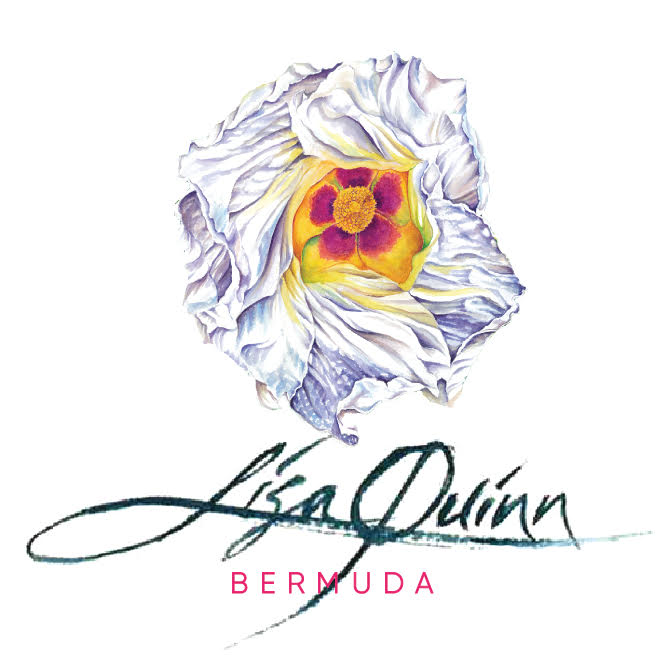 Lisa Quinn Studio