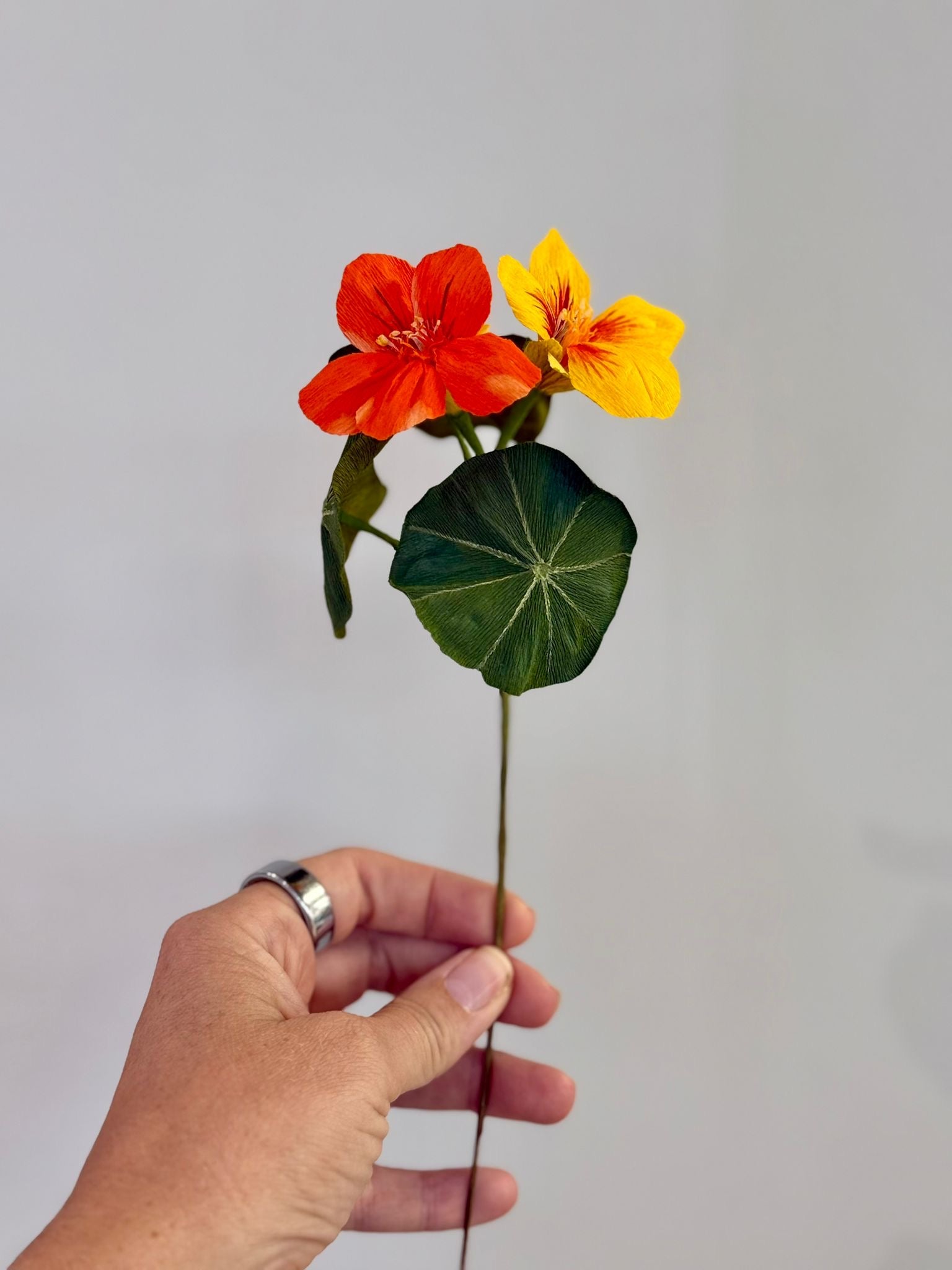 Cherise - Hand-Painted Nasturiam Flower