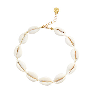 Adriana Pappas - Mini Natural Shell Anklet