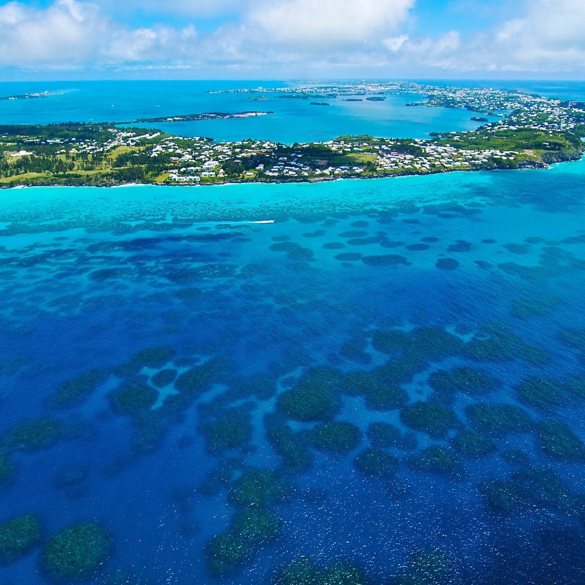 Men's Five-Star Stretch Bermudas - Atlantic Blue