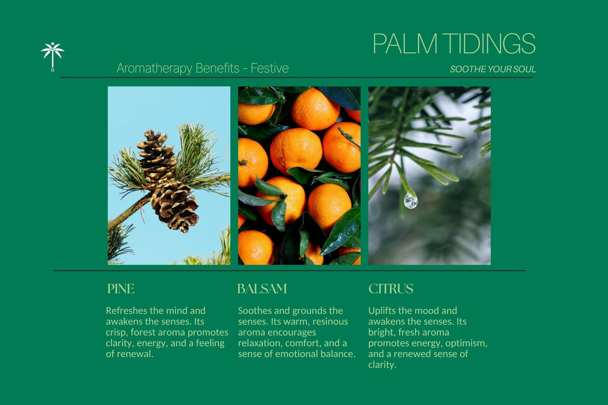 Isla Botanica Palm Tidings – Classic Candle 280g