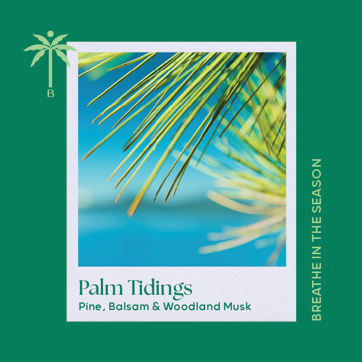 Isla Botanica Palm Tidings – Classic Candle 280g