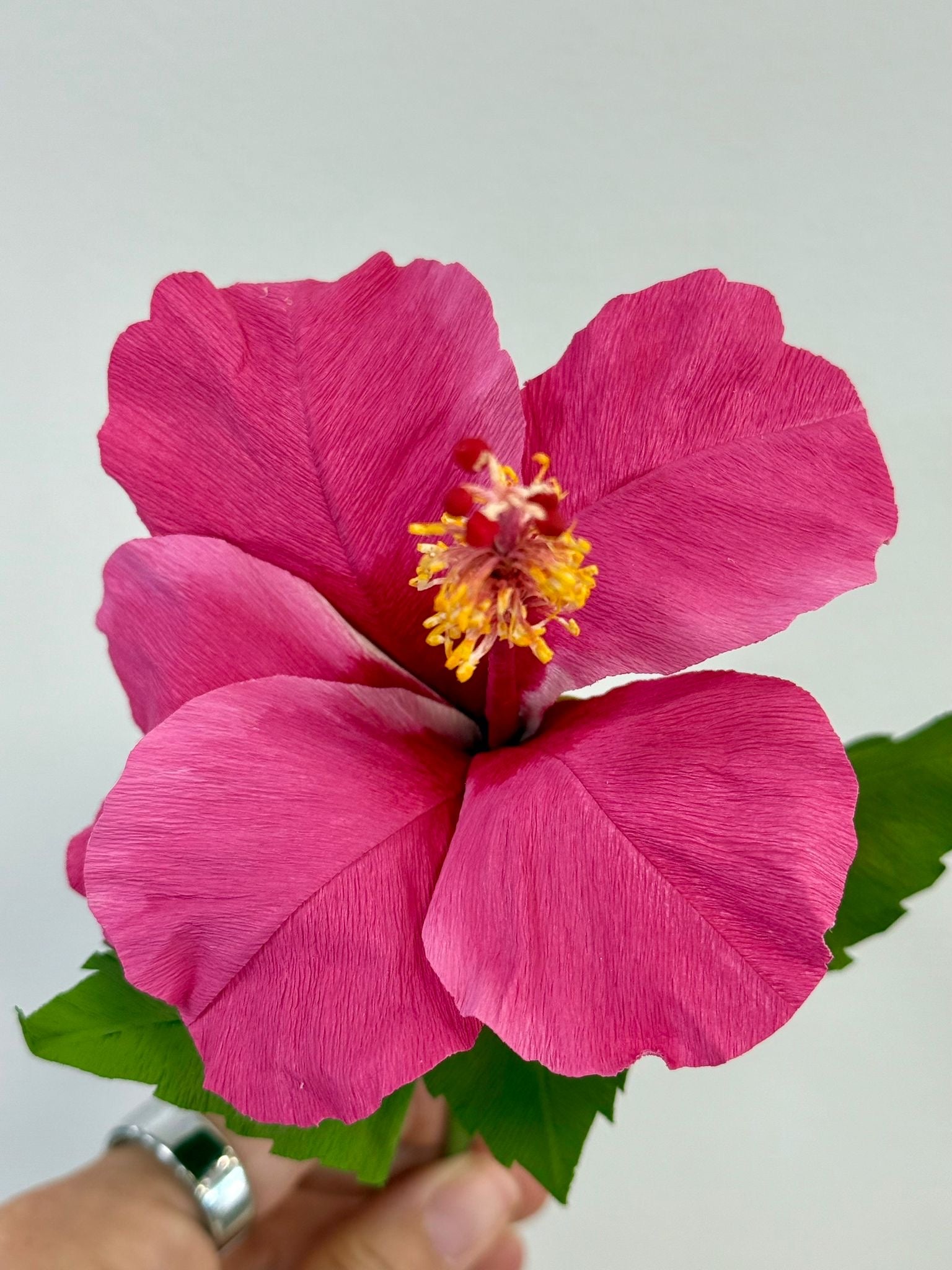 Cherise - Hand-Painted Hibiscus Flower