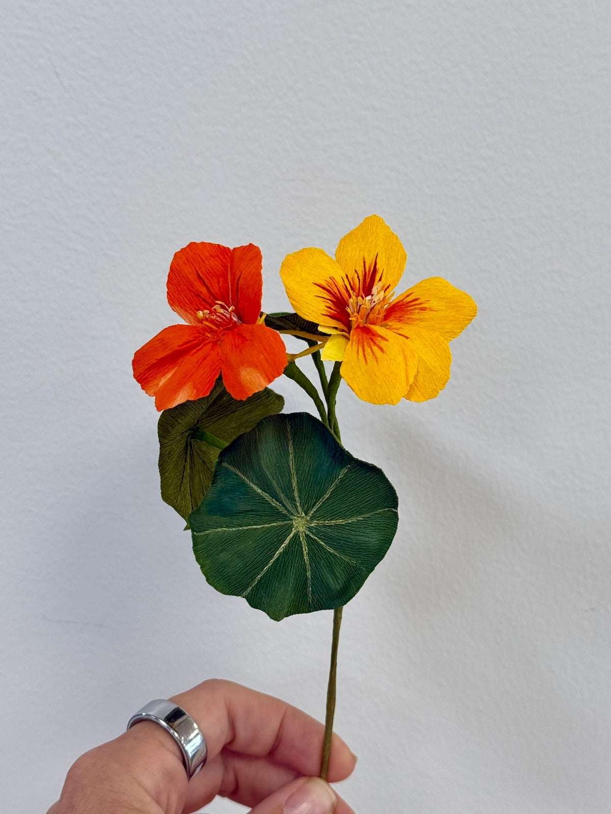 Cherise - Hand-Painted Nasturiam Flower