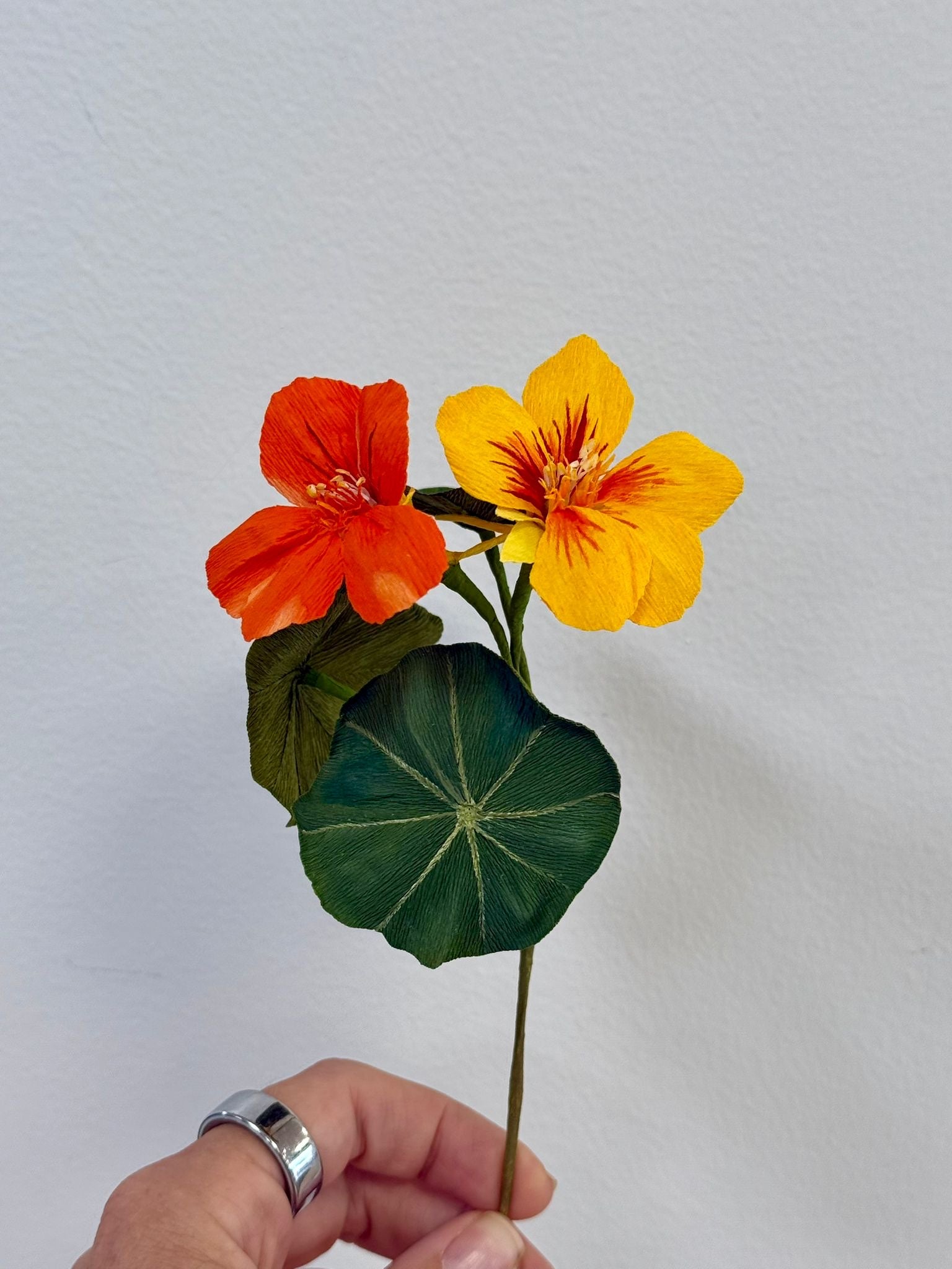Cherise - Hand-Painted Nasturiam Flower