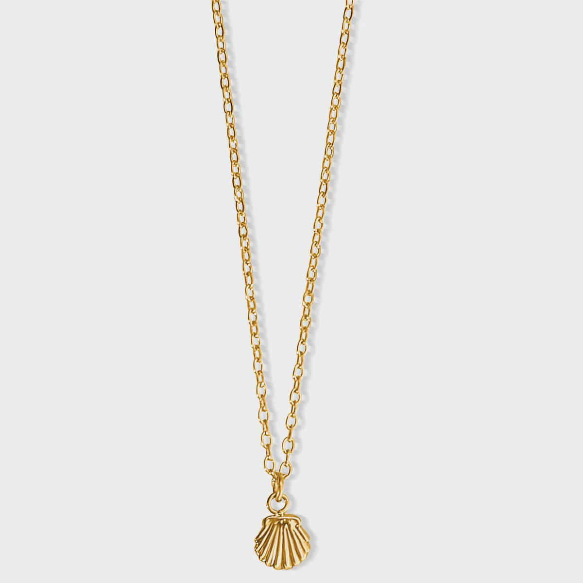 Ellie Vail - Tacha Mini Shell Necklace