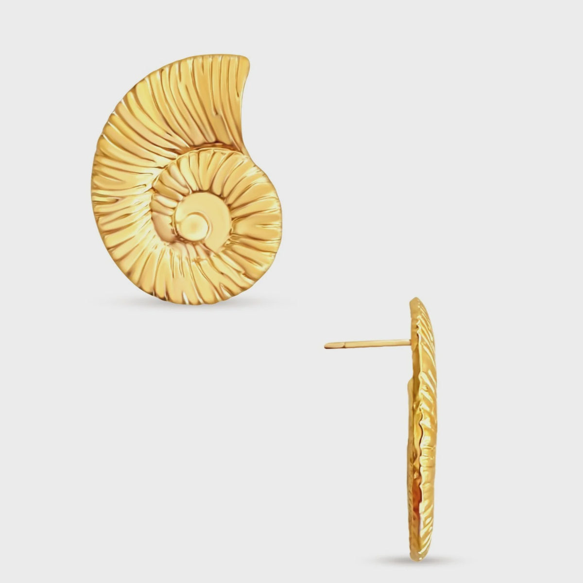 Ellie Vail - Vittoria Oversized Shell Earring