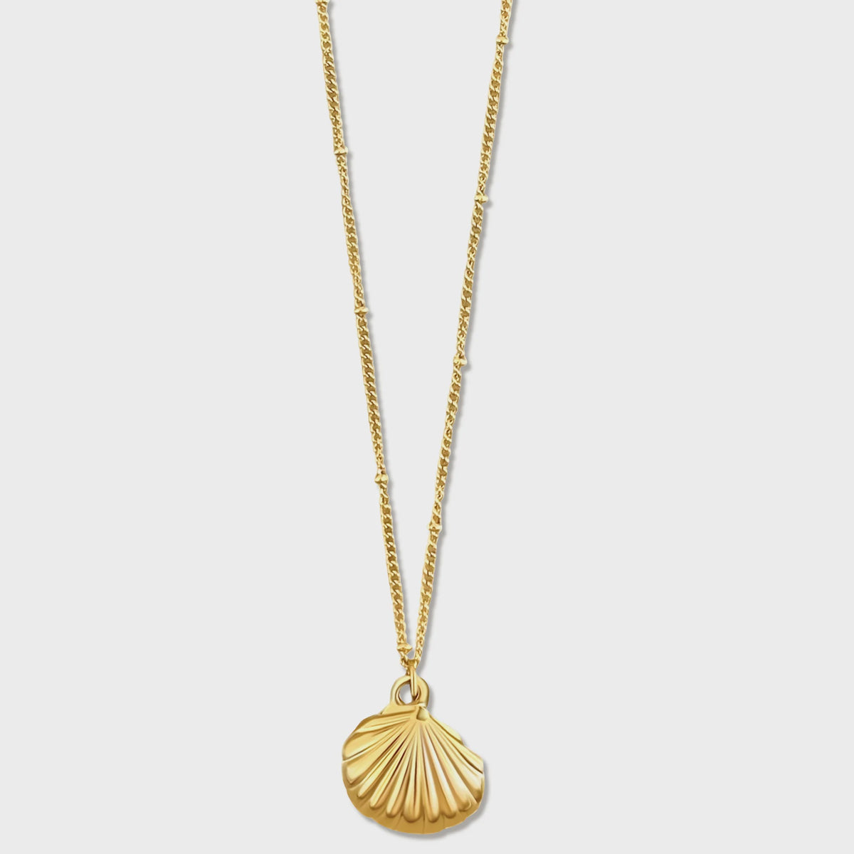 Ellie Vail Georgina Shell Pendant Necklace