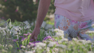 Men's Swim Trunks - Spring Island