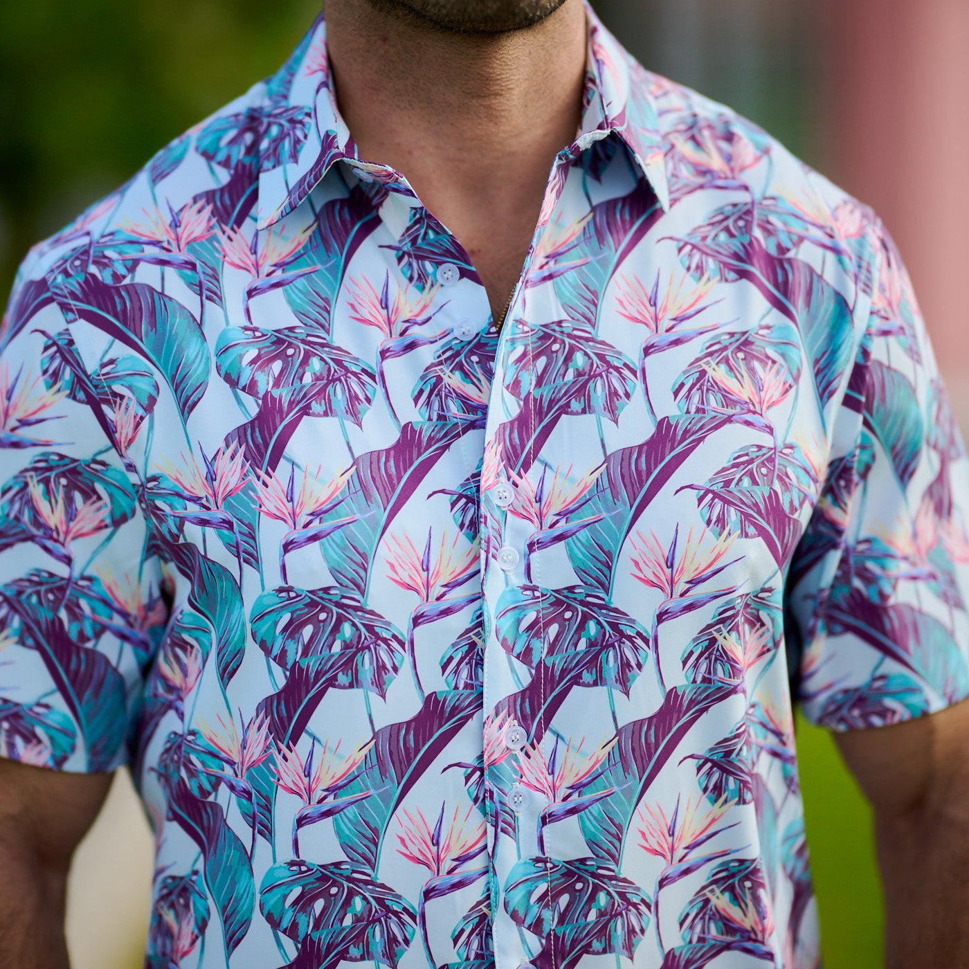 The Loren Men's Short Sleeve Cabana Shirt - Birds of Paradise