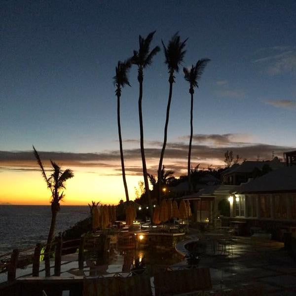 Men's Cotton Polo - Dusk Blue