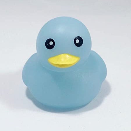 The Little Blue Ducky Rubber Ducky