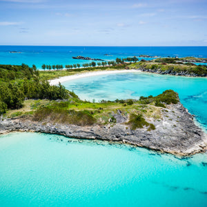 Men's Formal Bermudas - Cooper's Island