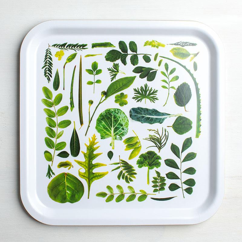 Mermade Square Botanical Tray - Green