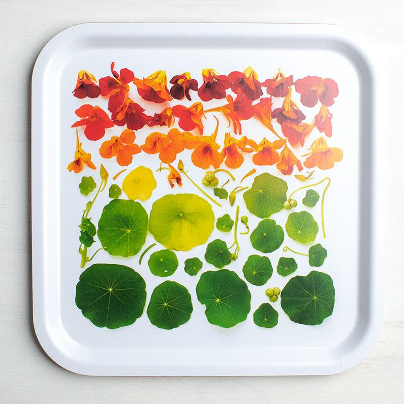 Mermade Square Botanical Tray - Nasturtium