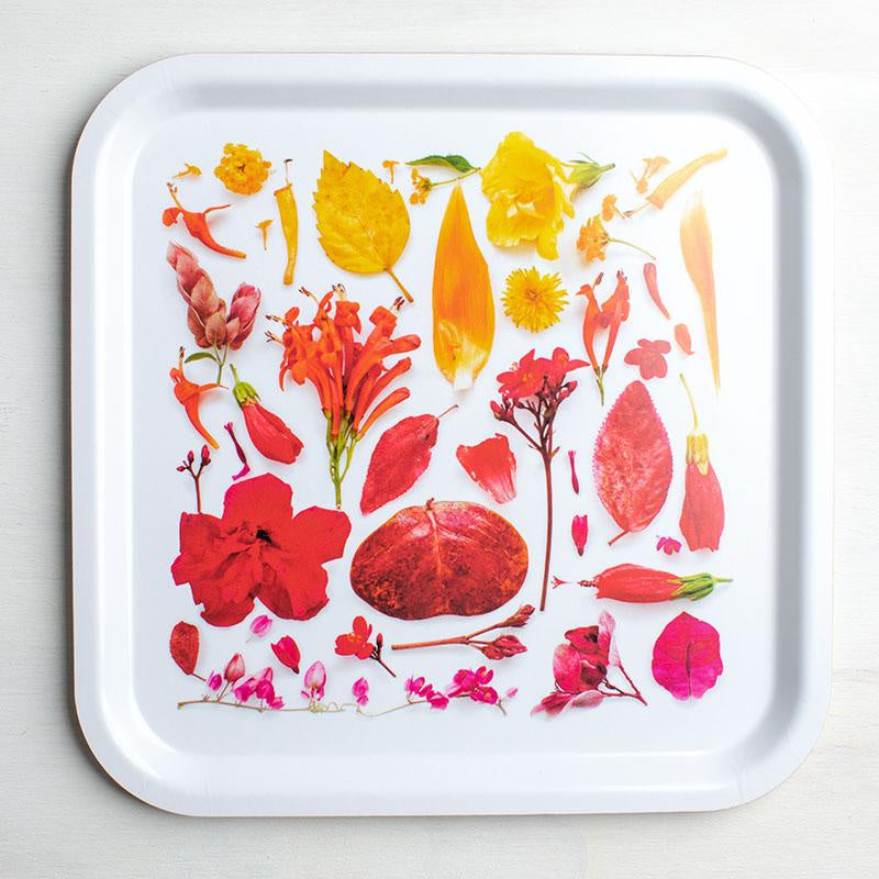 Mermade Square Botanical Tray - Rainbow