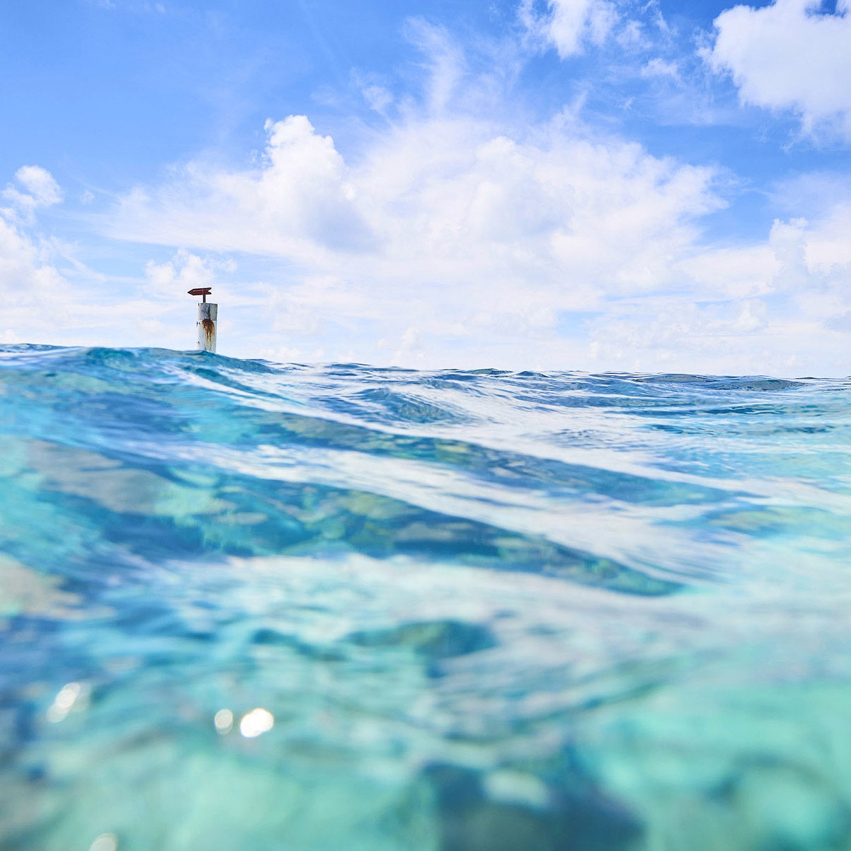 Gavin Howarth Print - Out into the Blue II