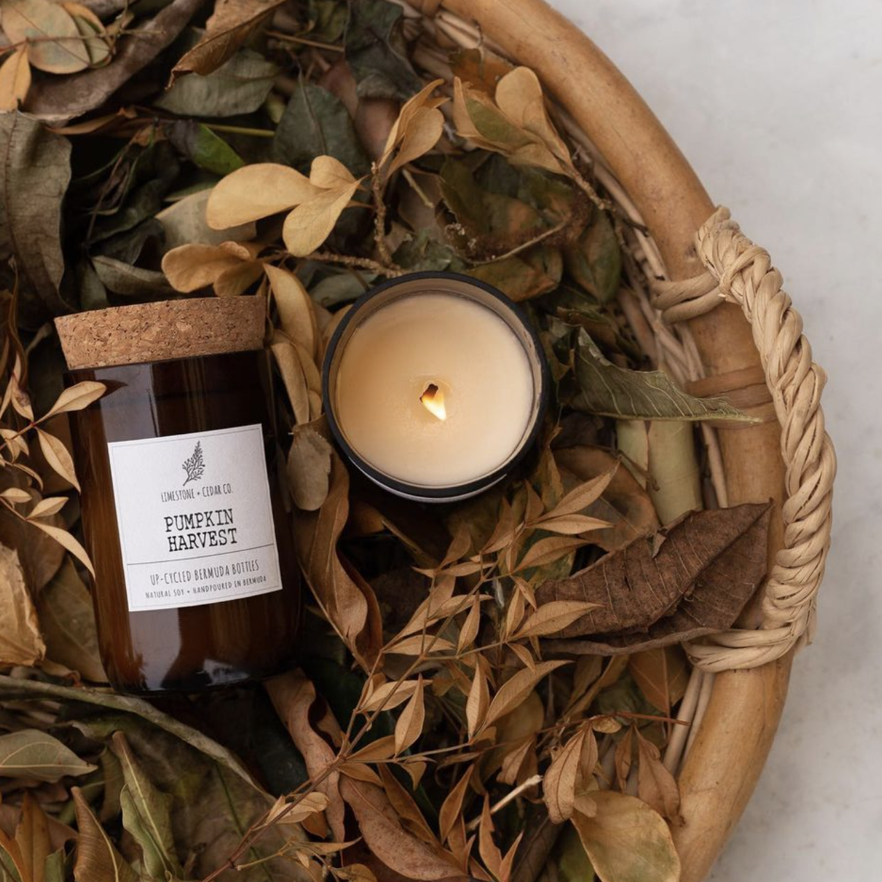 Limestone & Cedar Candle - Pumpkin Harvest