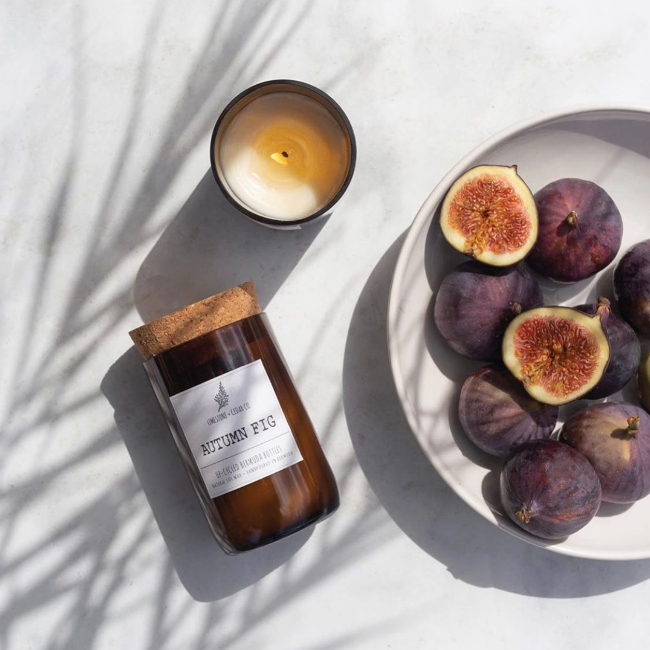 Limestone & Cedar Candle - Autumn Fig