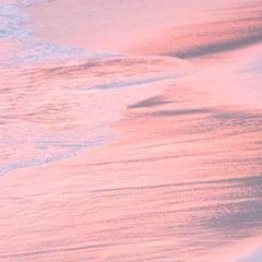 Men's Formal Bermudas - South Shore Pink