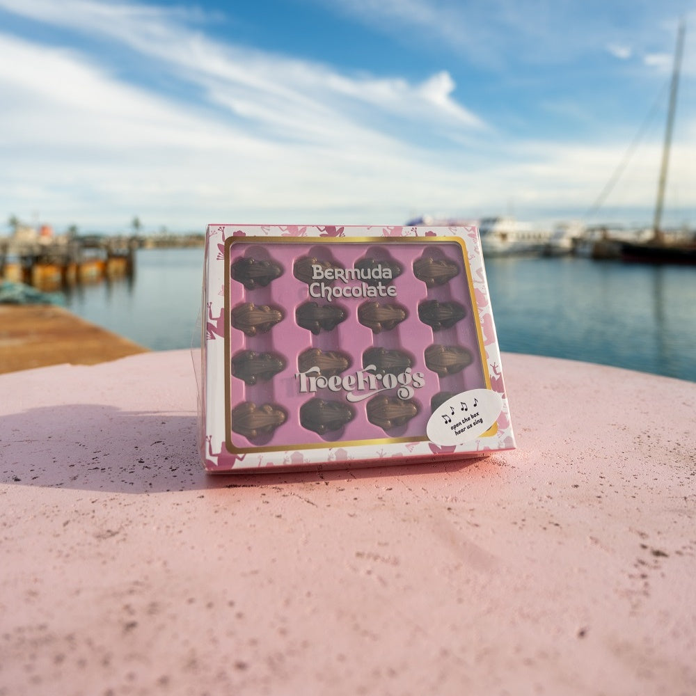 Bermuda Fudge Co. Musical Frog Box TABS